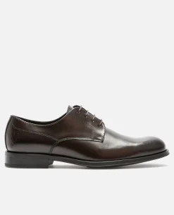 SPENCER Derbies Cuir Marron Homme
