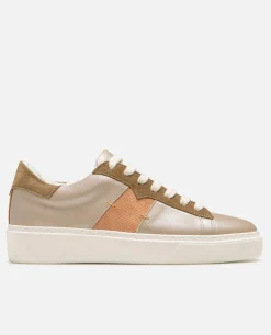 SWANKY F FB Sneakers cuir et daim multicolors