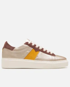 SWANKY F FB Sneakers cuir multicolors